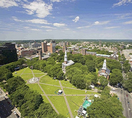 New Haven
